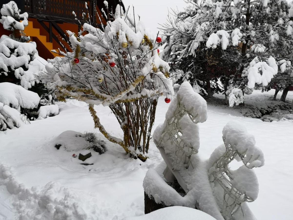 Eden Garden Sovata Villa Buitenkant foto